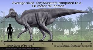 Bildergebnis für corythosaurus