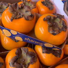 Image result for sharon fruit