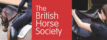 Image result for British Horse Society