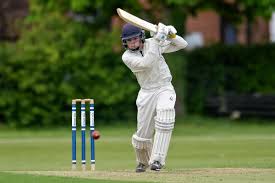 Image result for Basingstoke & North Hants Cricket Club