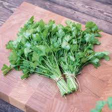 Image result for Petersilie