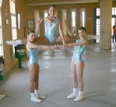 Image result for Aero Gymnastics Club