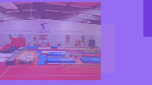 Image result for Cardiff Olympic Gymnastics Club