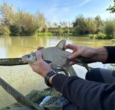 Image result for Bideford and District Angling Club