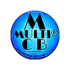 Image result for multi