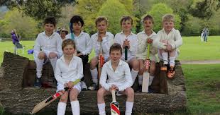 Image result for Aston Ingham Cricket Club