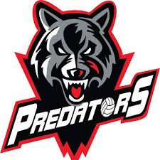 Image result for Ecs Predators Netball Club