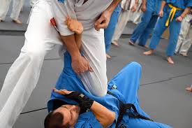 Image result for Didcot Judo and Karate Club