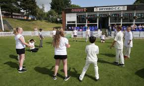 Image result for Brymbo Cricket Club