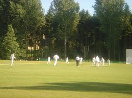 Image result for Wood Street Village Cricket Club