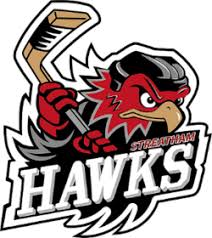 Image result for Streatham Night Wolves Ice Hockey Team