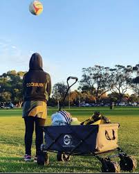 Image result for Lawn Netball Club