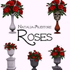 Image result for Red Rose Cc