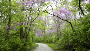 Image result for Stroud Valley Sac