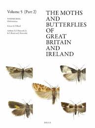 Attēlu rezultāti vaicājumam “Tortricidae”