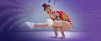 Image result for Aero Gymnastics Club