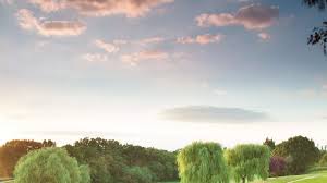 Image result for Surbiton Golf Club