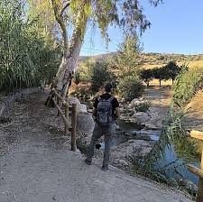 Image result for www.diariosur.es