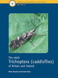 Attēlu rezultāti vaicājumam “Trichoptera”