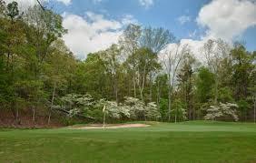 Image result for Flint Golf Club