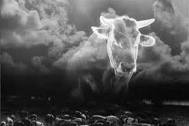 「ジャイナ・エイゼンシュテイン」の画像検索結果