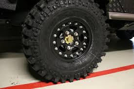 Картинки по запросу белку зажевало в диск