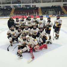Image result for Cardiff Comets Ladies Ice Hockey