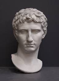 Attēlu rezultāti vaicājumam “Capsus ater imago”