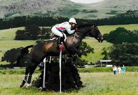 Image result for Ayr Riding Club