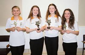 Image result for Dinefwr Indoor Bowls Club