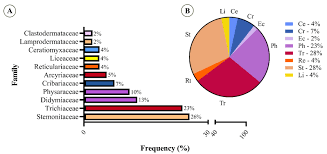 Attēlu rezultāti vaicājumam “Oligonema persimile sessile”