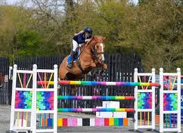 Image result for Bookham Riding School