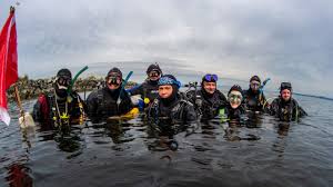 Image result for Seabug Divers