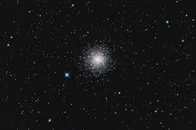 Attēlu rezultāti vaicājumam “Leptophlebia nebulosa”