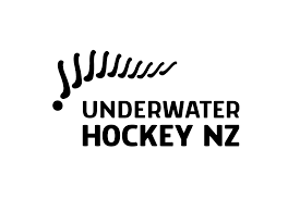 Image result for Dublin Underwater Hockey Team