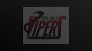 Image result for Spen Valley Vipers