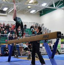 Image result for Maple Gymnastics Club