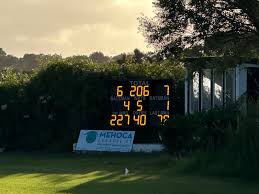 Image result for Runnymede Rascals Cricket Club