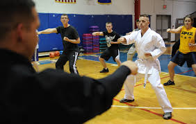 Image result for Kenpo Karate Club