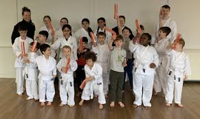 Image result for Harpenden JKA Karate Club