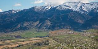 Attēlu rezultāti vaicājumam “Libanotis montana”