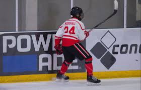 Image result for Streatham Night Wolves Ice Hockey Team