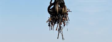 Image result for Seesac