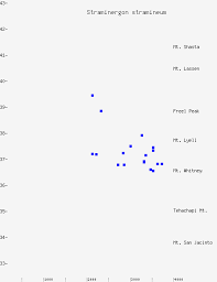 Attēlu rezultāti vaicājumam “Straminergon stramineum”