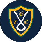 Image result for Hanley Castle Badminton Club