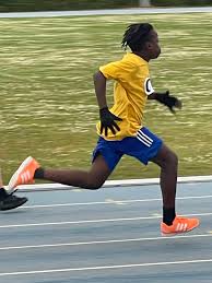 Image result for Vale Of Aylesbury Athletics Club