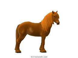 Image result for chestnut friesian