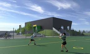 Image result for Grasshoppers Netball Club