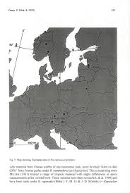 Attēlu rezultāti vaicājumam “Biscogniauxia granmoi”