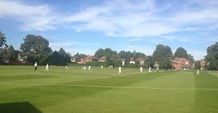 Image result for J & G Meakin Cricket Club